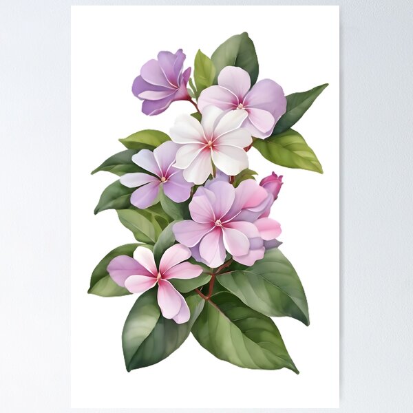 Item preview, Madagascar Periwinkle (Catharanthus roseus) designed and sold by HOMETOWN86.