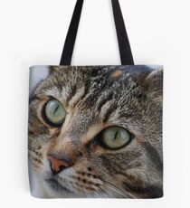 Stray moggie Tote Bag