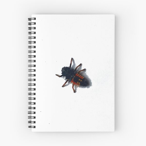 Item preview, Harmonia axyridis larva designed and sold by Dariusz Siński.