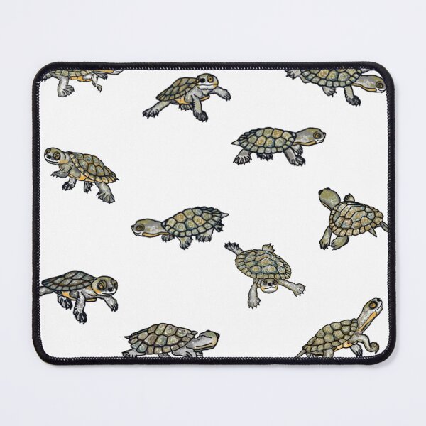Item preview, Cartoon drawings of Bell's turtle hatchlings (Myuchelys bellii) designed and sold by Lulu-Bells.