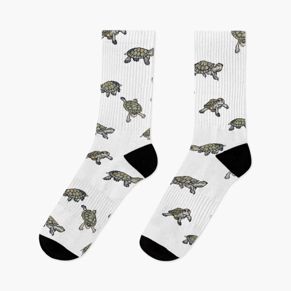 Item preview, Cartoon drawings of Bell's turtle hatchlings (Myuchelys bellii) designed and sold by Lulu-Bells.