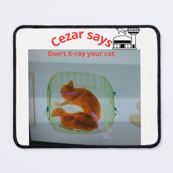 Item preview, funny gifts for airplane travelers designed and sold by smartpaxcezar.