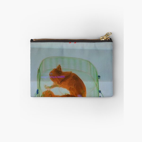 Item preview, funny gifts for airplane travelers designed and sold by smartpaxcezar.