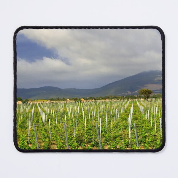 Item preview, Vermentino vineyards in Gallura designed and sold by annalisa56.
