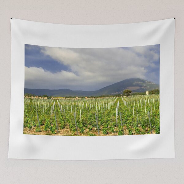 Item preview, Vermentino vineyards in Gallura designed and sold by annalisa56.