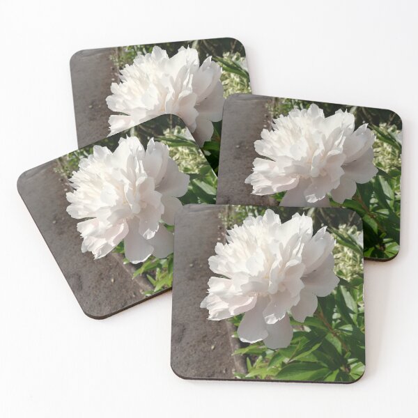 Item preview, Single pale pink peony rose photograph  designed and sold by esvb.