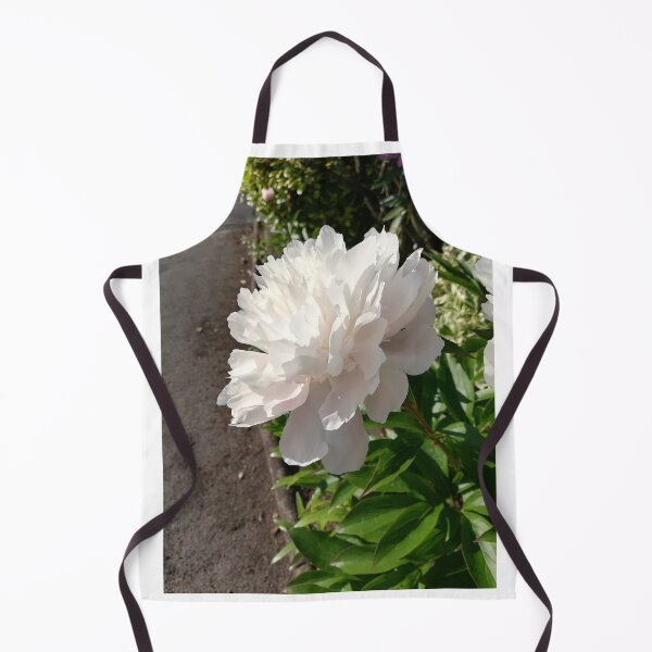 Item preview, Single pale pink peony rose photograph designed and sold by esvb.