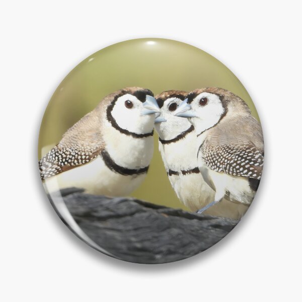 Item preview, Double-Barred Finches on the Fence designed and sold by Jenny  Dyer.