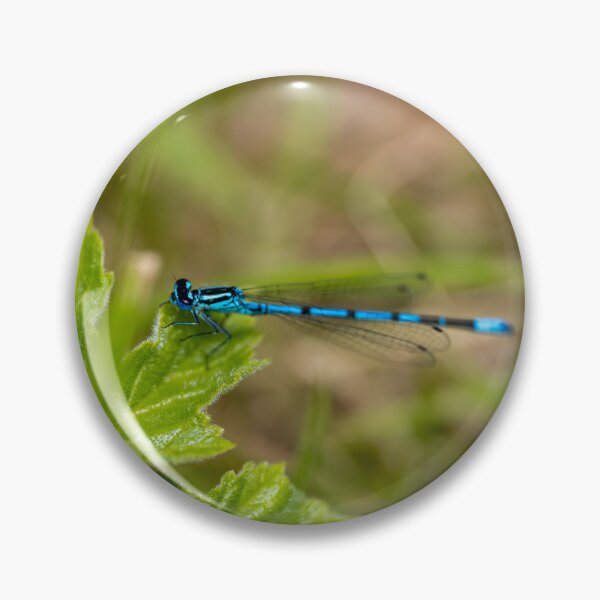 Item preview, Elegant Damselfly Close-Up on woodland leaves  designed and sold by ast-photography.