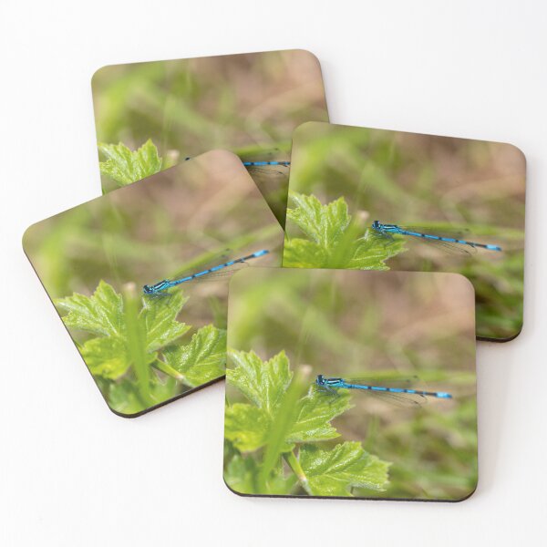Item preview, Elegant Damselfly Close-Up on woodland leaves  designed and sold by ast-photography.