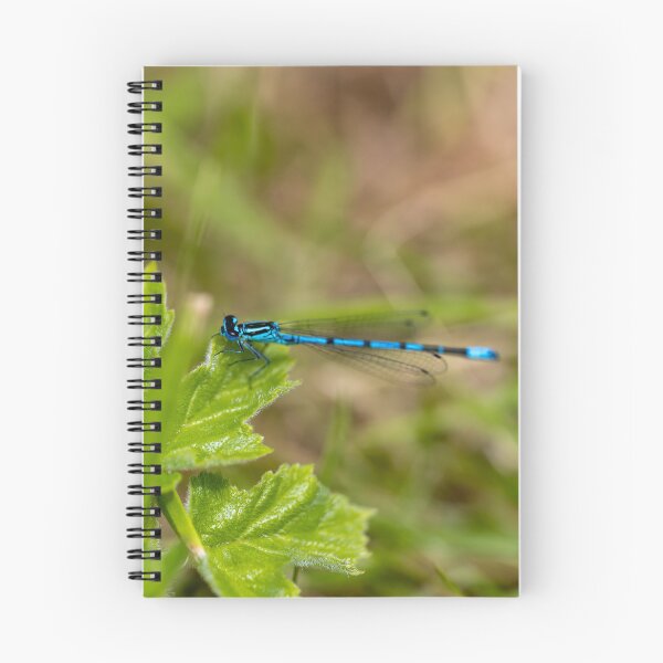 Item preview, Elegant Damselfly Close-Up on woodland leaves  designed and sold by ast-photography.