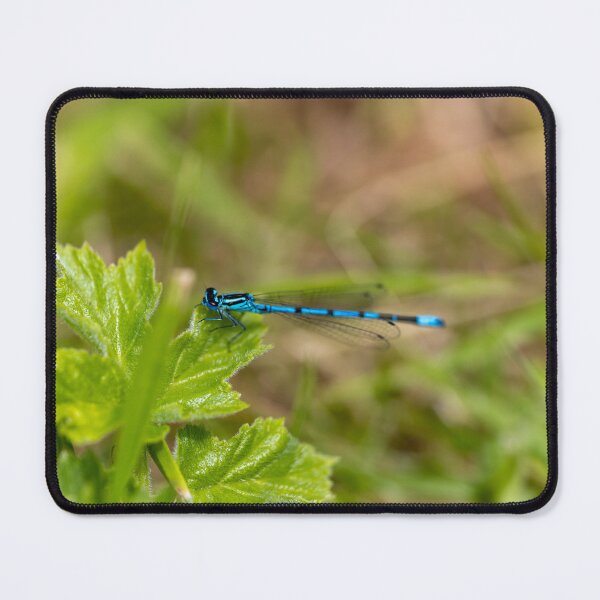 Item preview, Elegant Damselfly Close-Up on woodland leaves  designed and sold by ast-photography.