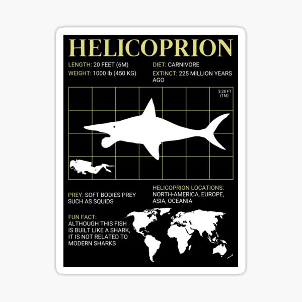 Helicoprion Buzzsaw Jaw Fish Fossil Extinct Shark Paleontology Journal