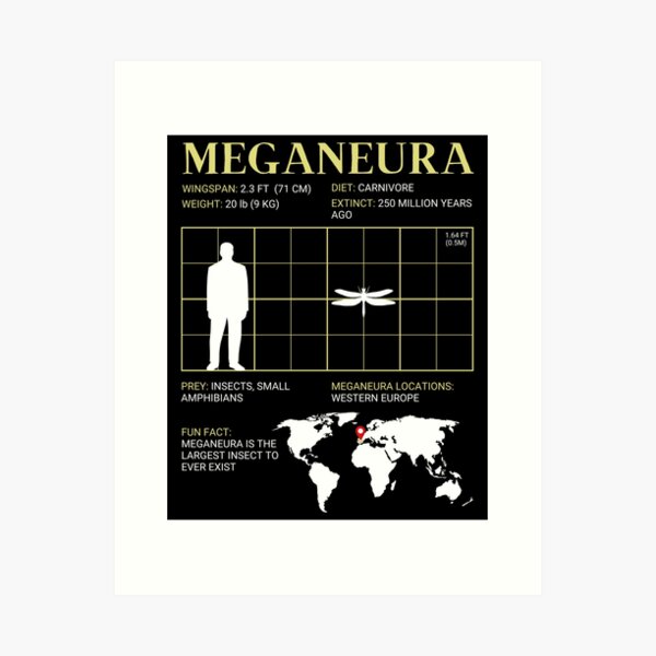 Item preview, Meganeura Griffinfly Extinct Giant Flying Insect designed and sold by ExtinctFauna.