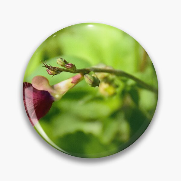 Item preview, Wild Bush Bean On Lake Apopka Wildlife Drive designed and sold by MercerImages.