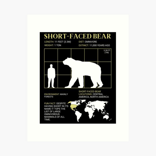 Item preview, Short-Faced Bear Extinct Giant Bear Arctodus designed and sold by ExtinctFauna.