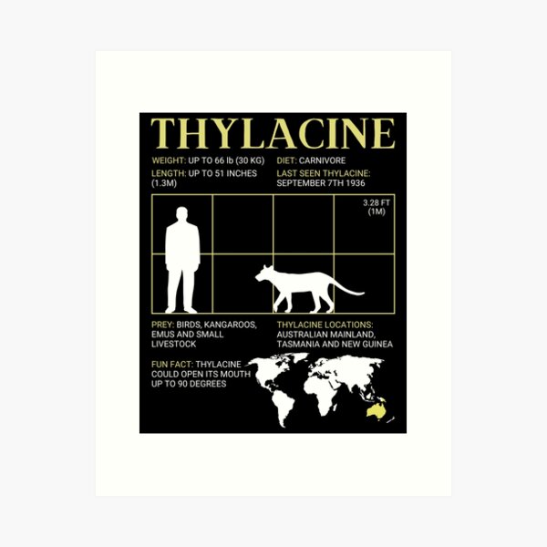 Item preview, Thylacine Extinct Tiger Tasmanian Wolf designed and sold by ExtinctFauna.