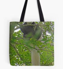 Colobus Monkey, Arusha National Park, Tanzania, Africa Tote Bag
