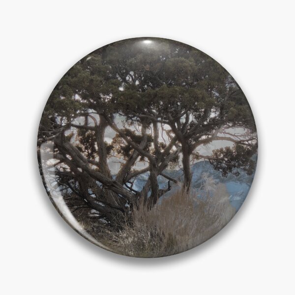Item preview, Hidden Valley Pine Tree designed and sold by Robert Ball.