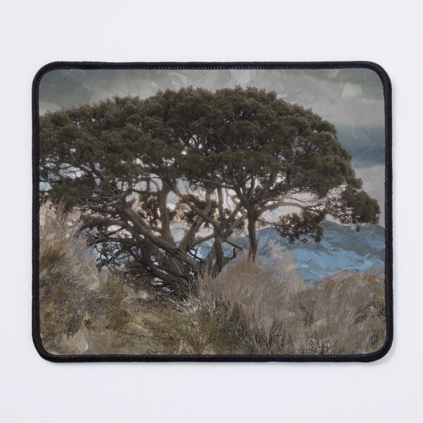 Item preview, Hidden Valley Pine Tree designed and sold by Robert Ball.
