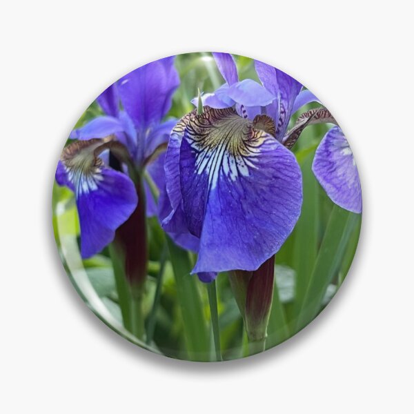 Item preview, Siberian Irises designed and sold by Stephanie Fay.