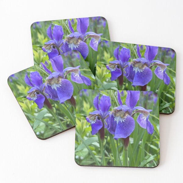 Item preview, Siberian Irises designed and sold by Stephanie Fay.