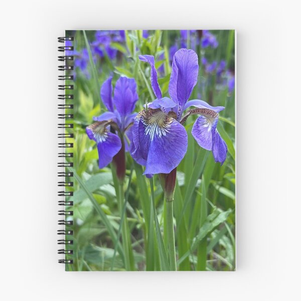 Item preview, Siberian Irises designed and sold by Stephanie Fay.
