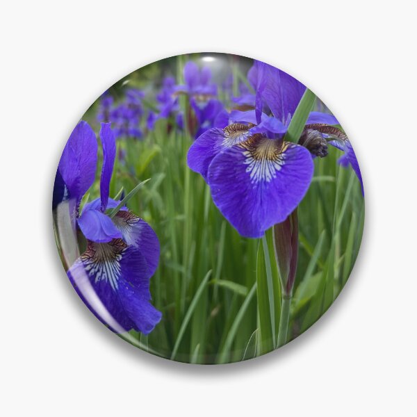 Item preview,  Siberian Irises 2 designed and sold by Stephanie Fay.