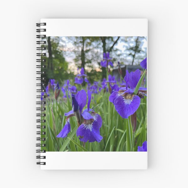 Item preview,  Siberian Irises 2 designed and sold by Stephanie Fay.