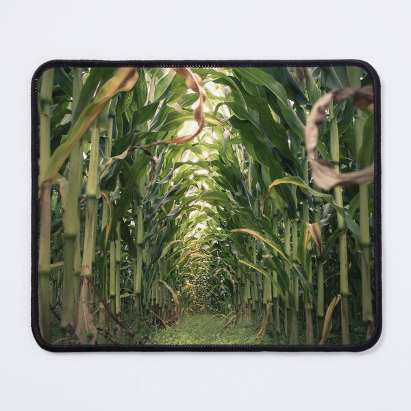Item preview, Cornfield designed and sold by SpringerArt.