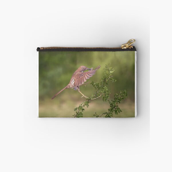 Item preview, Long Billed Thrasher Landing South Texas 2 designed and sold by PhotoArt by Joan Carroll.