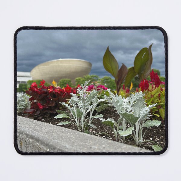 Item preview, Silver Ragwort designed and sold by Stephanie Fay.