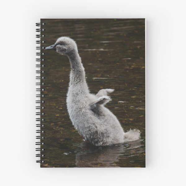 Item preview, Learning to Fly designed and sold by clgcreativearts.