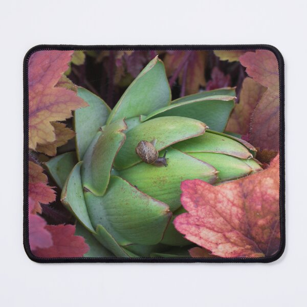 Item preview, Lonely Snail designed and sold by SpringerArt.