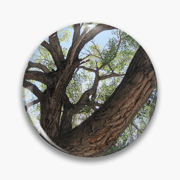 Item preview, Ancient Pueblo Cottonwood designed and sold by Your4.
