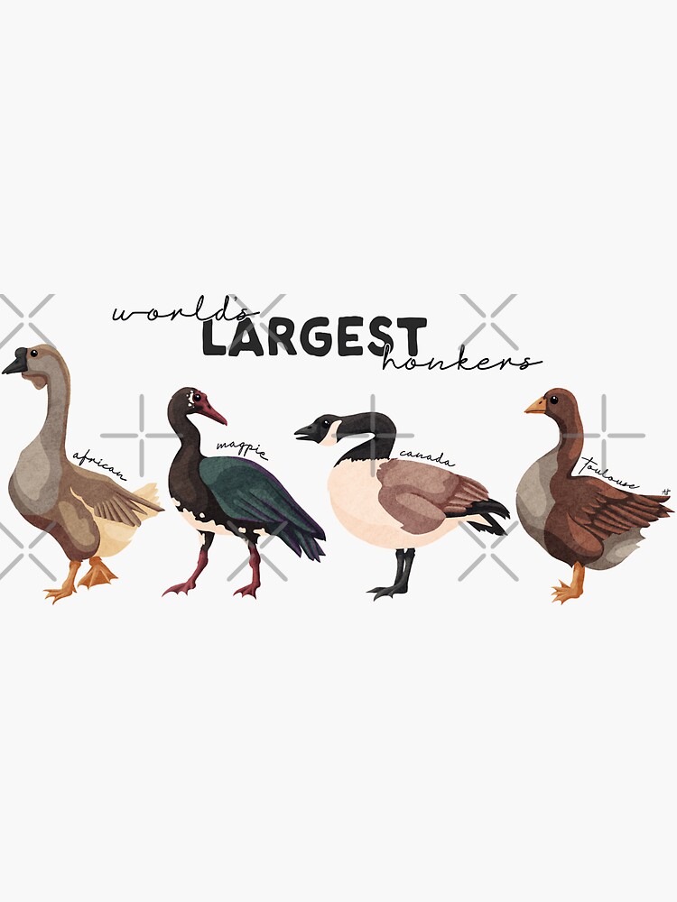 Thumbnail 3 of 3, Sticker, World’s Largest Honkers designed and sold by smoothfoxill.