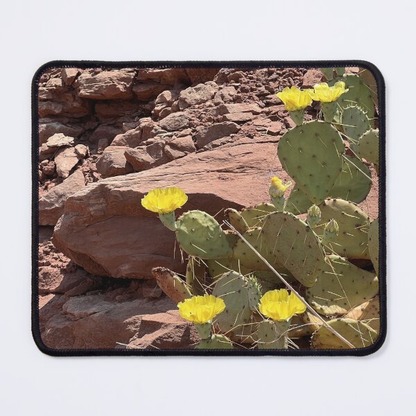 Item preview, Desert Blossoms designed and sold by Alt-C Music.