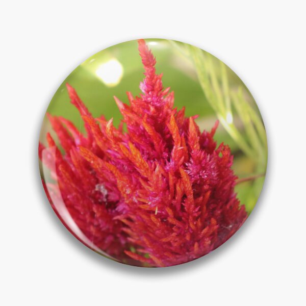 Item preview, Celosia designed and sold by matthewsimon1.