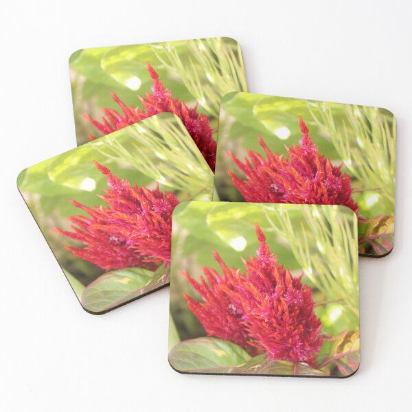 Item preview, Celosia designed and sold by matthewsimon1.
