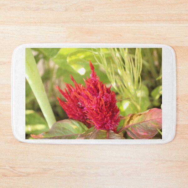 Item preview, Celosia designed and sold by matthewsimon1.