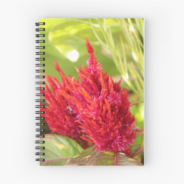 Item preview, Celosia designed and sold by matthewsimon1.