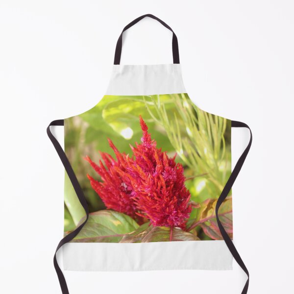 Item preview, Celosia designed and sold by matthewsimon1.