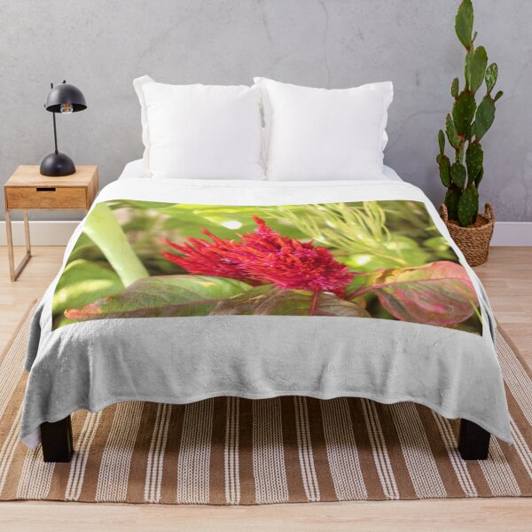 Item preview, Celosia designed and sold by matthewsimon1.