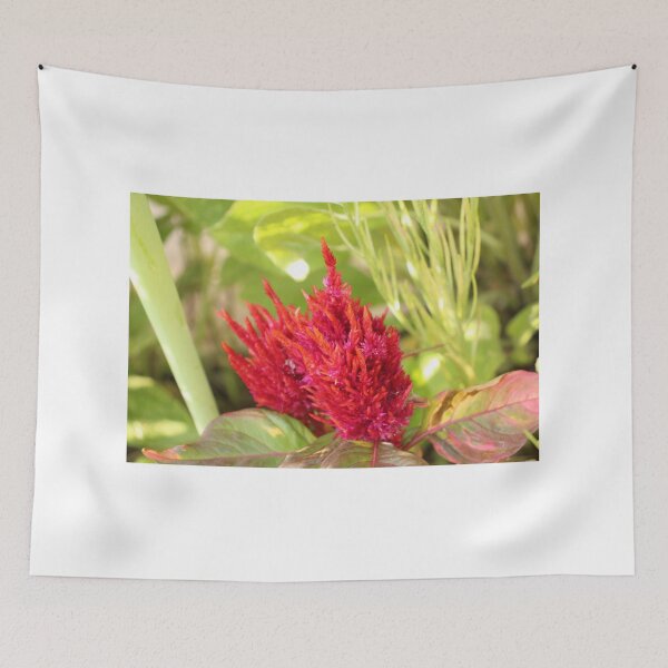 Item preview, Celosia designed and sold by matthewsimon1.