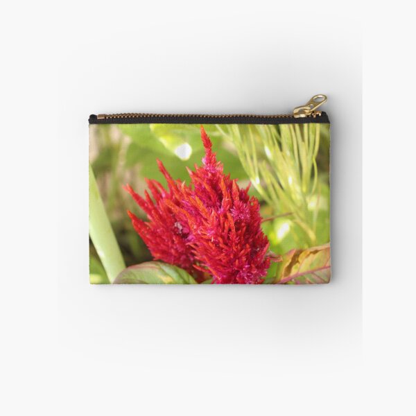 Item preview, Celosia designed and sold by matthewsimon1.