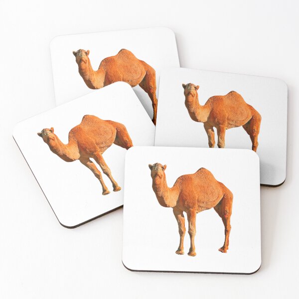 Item preview, Orange Fighting Camel designed and sold by morgankeiky.