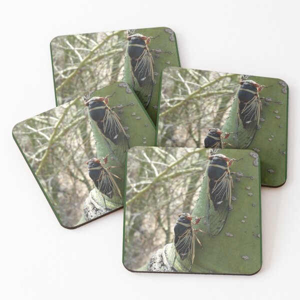 Item preview, Pair of cicadas on palo verde tree - Arizona designed and sold by Creative Endeavors ..