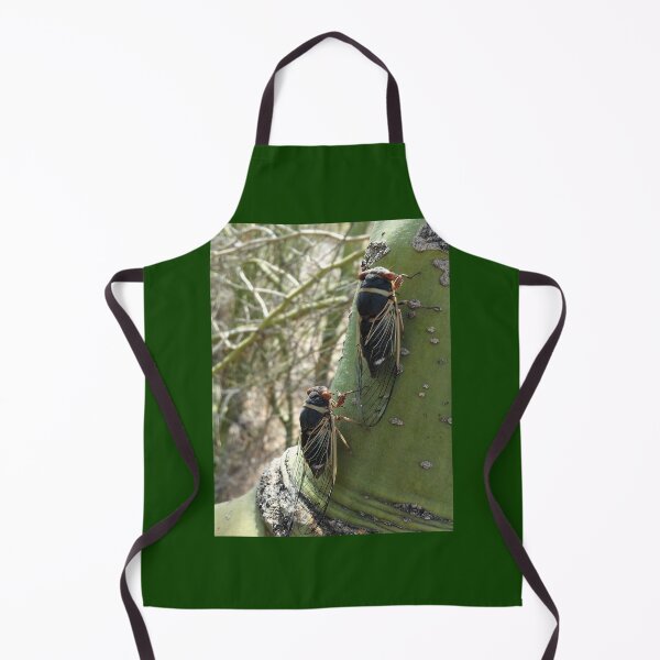 Item preview, Pair of cicadas on palo verde tree - Arizona designed and sold by Creative Endeavors ..