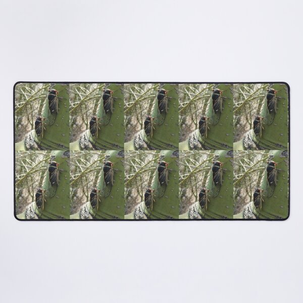 Item preview, Pair of cicadas on palo verde tree - Arizona designed and sold by Creative Endeavors ..