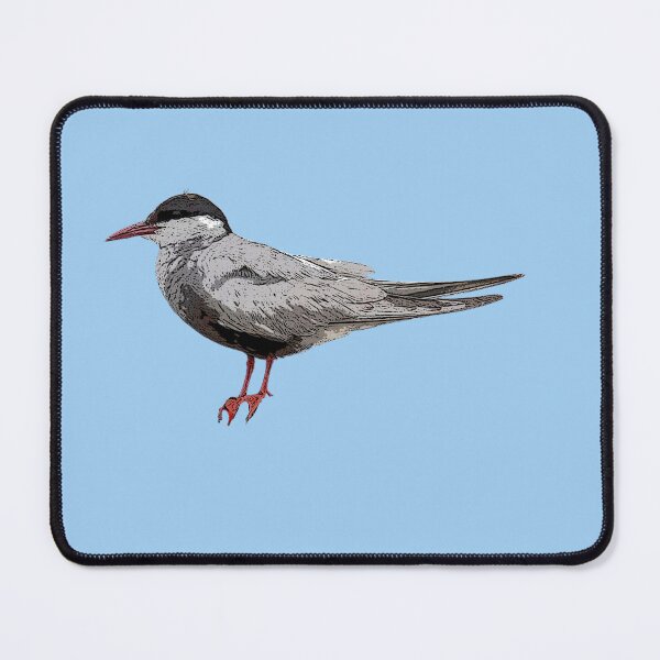 Item preview, Whiskered Marsh Tern Color Design designed and sold by designsasstultd.